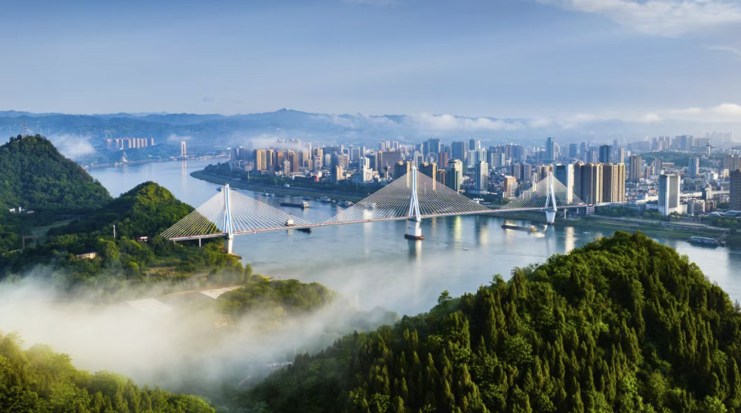 一块闲置地，何以变成宜昌市民争相奔赴的花海？_澎湃号·政务_澎湃新闻-The Paper