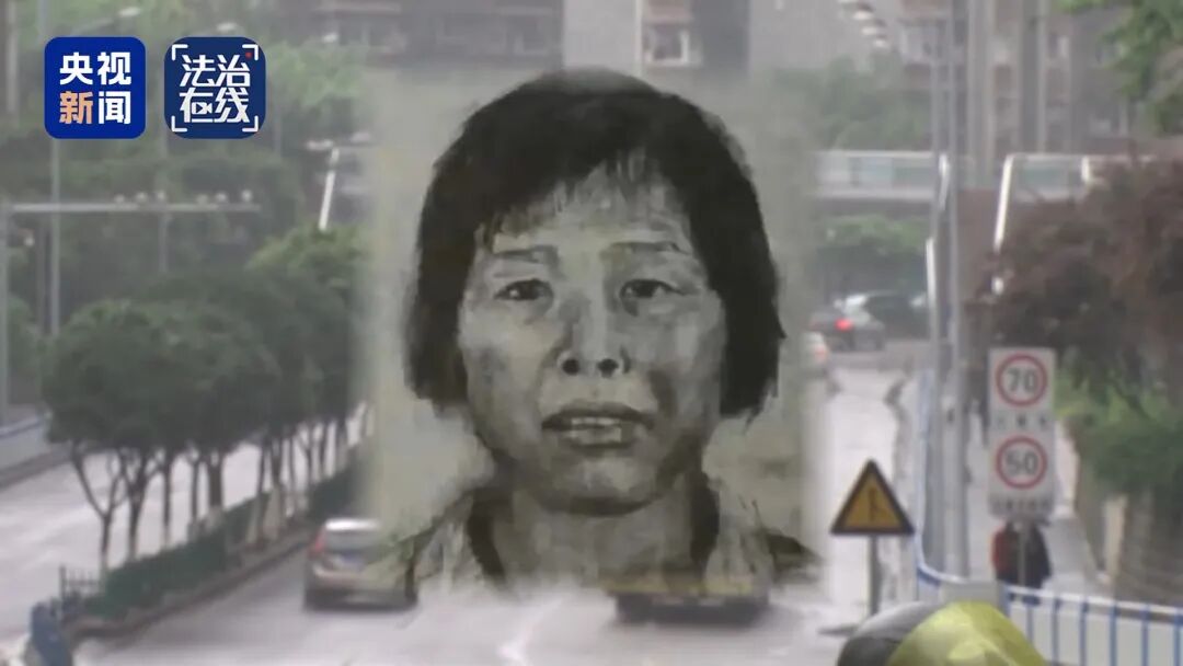 “梅姨”如何落网？何时公布照片？警方披露案件细节——