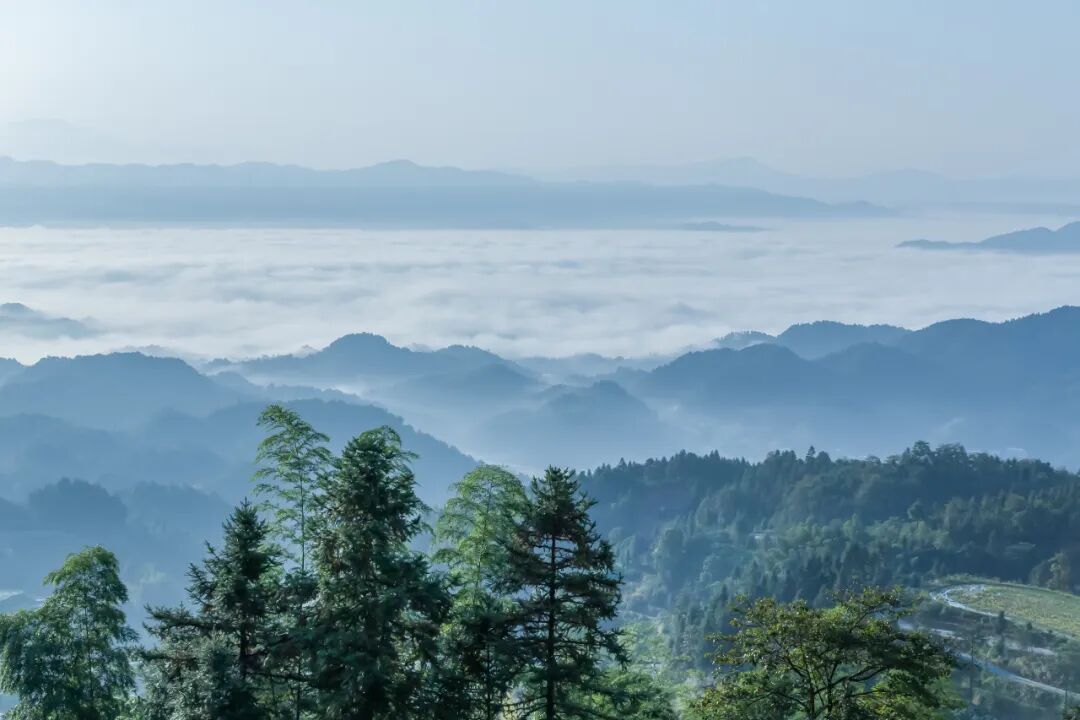 湖南永州景点排行榜,永州值得一去的9大好玩景点,你去过几个?_澎湃号·湃客_澎湃新闻-The Paper