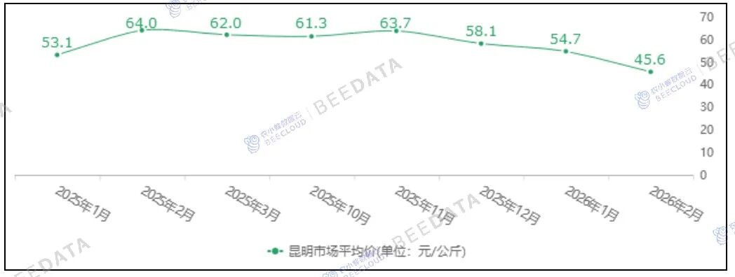 中国咖啡市场动态监测（2026年2月）