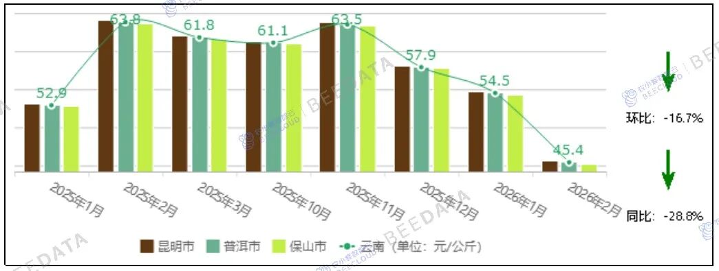 中国咖啡市场动态监测（2026年2月）