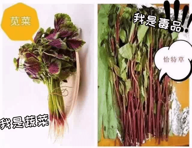 禁毒宣传丨“远离毒品，珍爱生命”——禁毒知识宣传