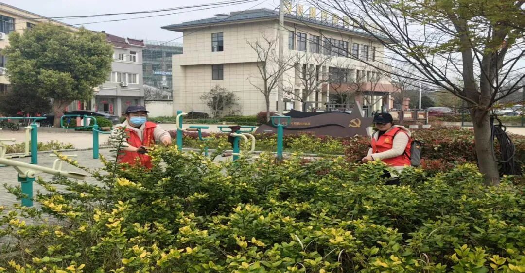 绿化修剪效果图