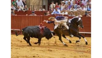 揭曉 | 2025年摩爾多瓦ELYSIUM國(guó)際攝影大賽獲獎(jiǎng)公布（四）