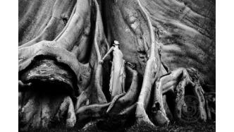 中國(guó)攝影網(wǎng)于仲安獲金獎(jiǎng)，2026年埃及亞歷山德里亞國(guó)際攝影大賽獲獎(jiǎng)公布（上）