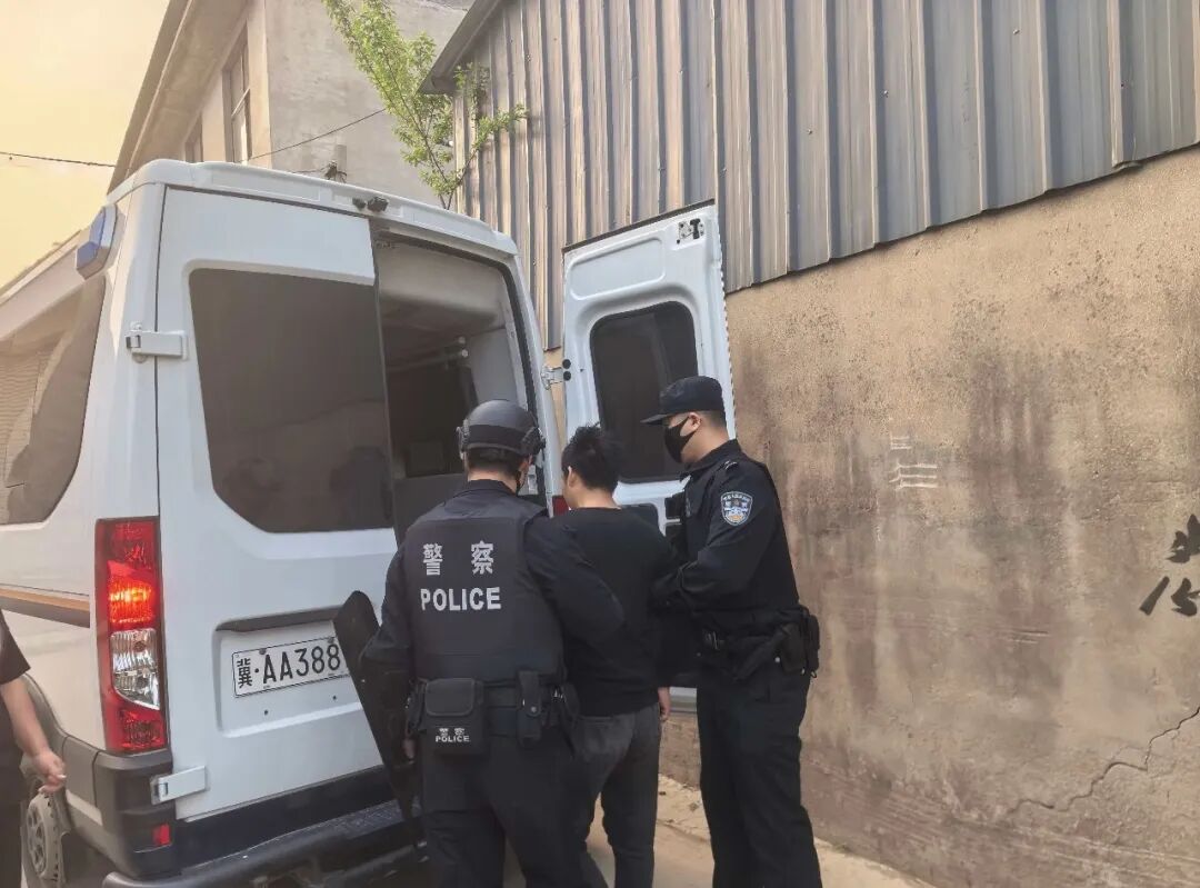 无极法院集中执行破坚冰 执行利剑再“出鞘”