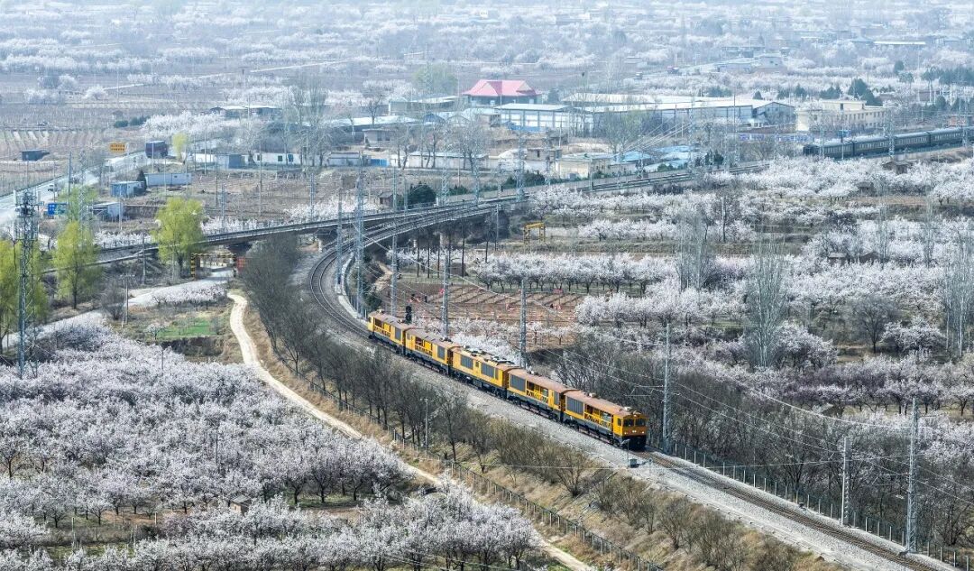 坐上开往春天的列车,来一场追花之旅!_澎湃号·政务_澎湃新闻-The Paper