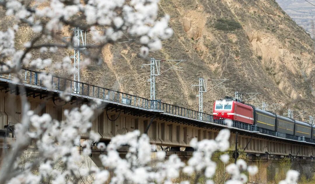 坐上开往春天的列车,来一场追花之旅!_澎湃号·政务_澎湃新闻-The Paper