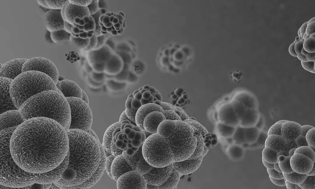 热活检钳有什么作用全国肿瘤防治宣传周 ｜ 热疗：肿瘤治疗中的“绿色利器”，你了解多少？_https://www.jmylbn.com_新闻资讯_第2张