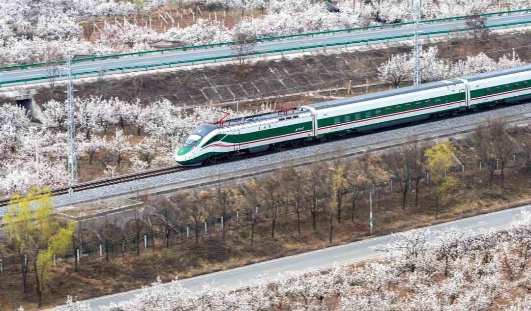 坐上开往春天的列车,来一场追花之旅!_澎湃号·政务_澎湃新闻-The Paper