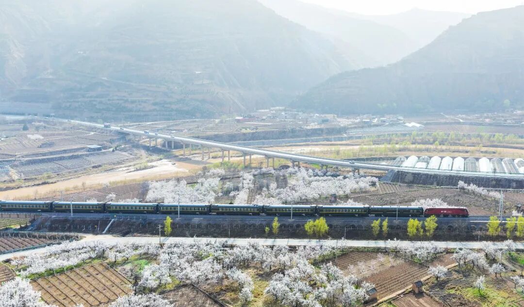 坐上开往春天的列车,来一场追花之旅!_澎湃号·政务_澎湃新闻-The Paper