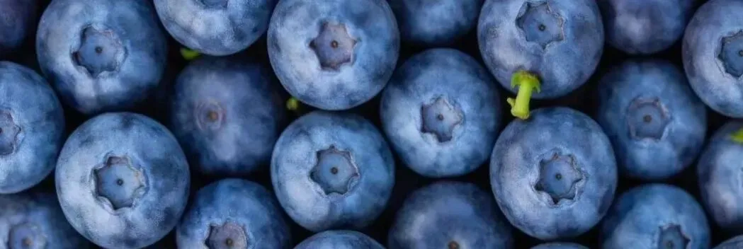 什么是同步心电图翔安“心电图一张网”上线！家门口做检查，三甲专家“云读图”~_https://www.jmylbn.com_新闻资讯_第6张