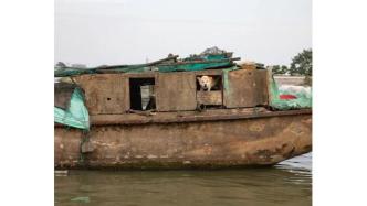 沈劍挺：舜水泱泱