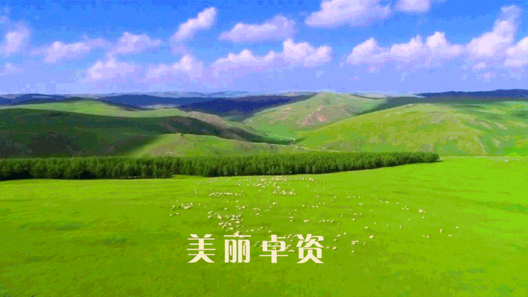 【铸牢中华民族共同体意识】铸牢中华民族共同体意识必须重点把握的关系_澎湃号·政务_澎湃新闻-The Paper