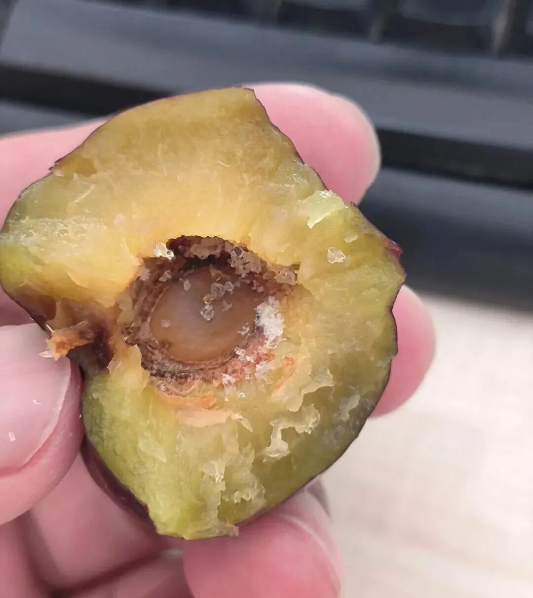 同样是水果,大的好还是小的好?答案来了→