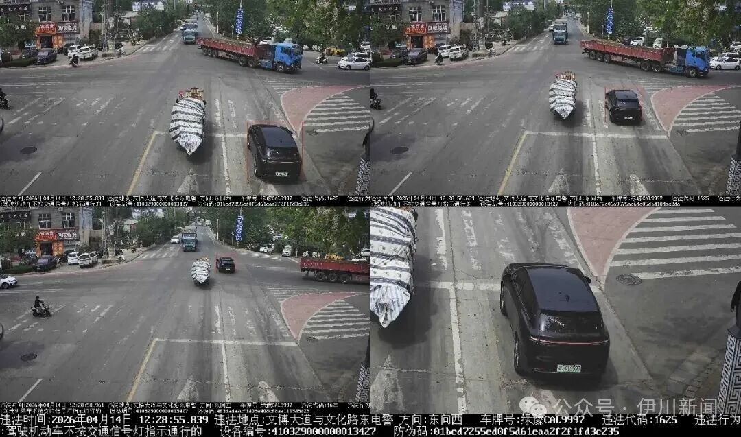 伊川:曝光!这些车辆闯红灯了…