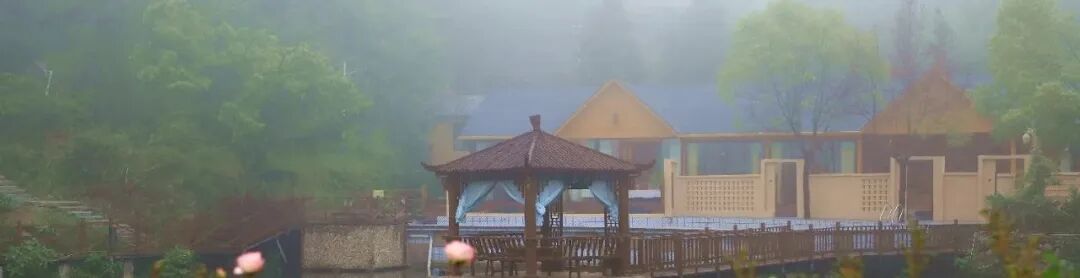 初夏的东垸 藏在古村中的治愈之旅