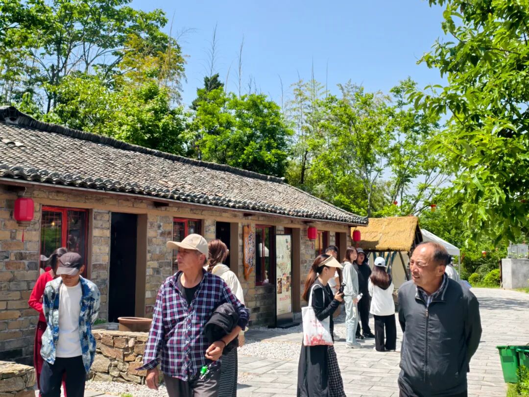初夏的东垸 藏在古村中的治愈之旅