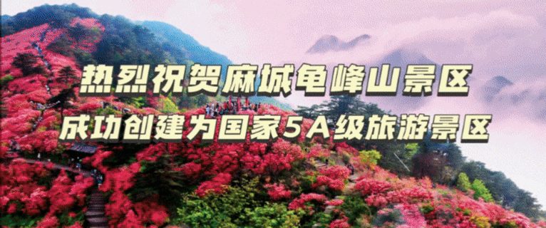 初夏的东垸 藏在古村中的治愈之旅