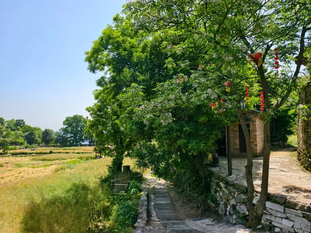 初夏的东垸 藏在古村中的治愈之旅