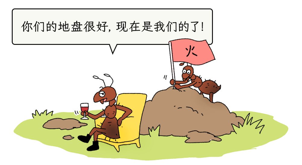 野外遇到这种小土包,千万别靠近!_澎湃号·湃客_澎湃新闻-The Paper