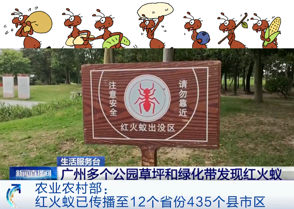 野外遇到这种小土包,千万别靠近!_澎湃号·湃客_澎湃新闻-The Paper