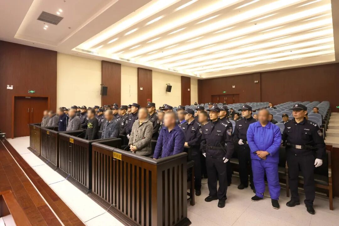 守护海洋生物多样性 | 最高判刑12年6个月！19人团伙非法采捕红珊瑚，涉案价值超2500万元