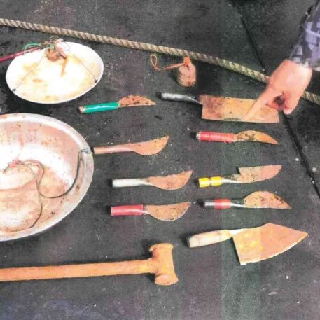 守护海洋生物多样性 | 最高判刑12年6个月！19人团伙非法采捕红珊瑚，涉案价值超2500万元