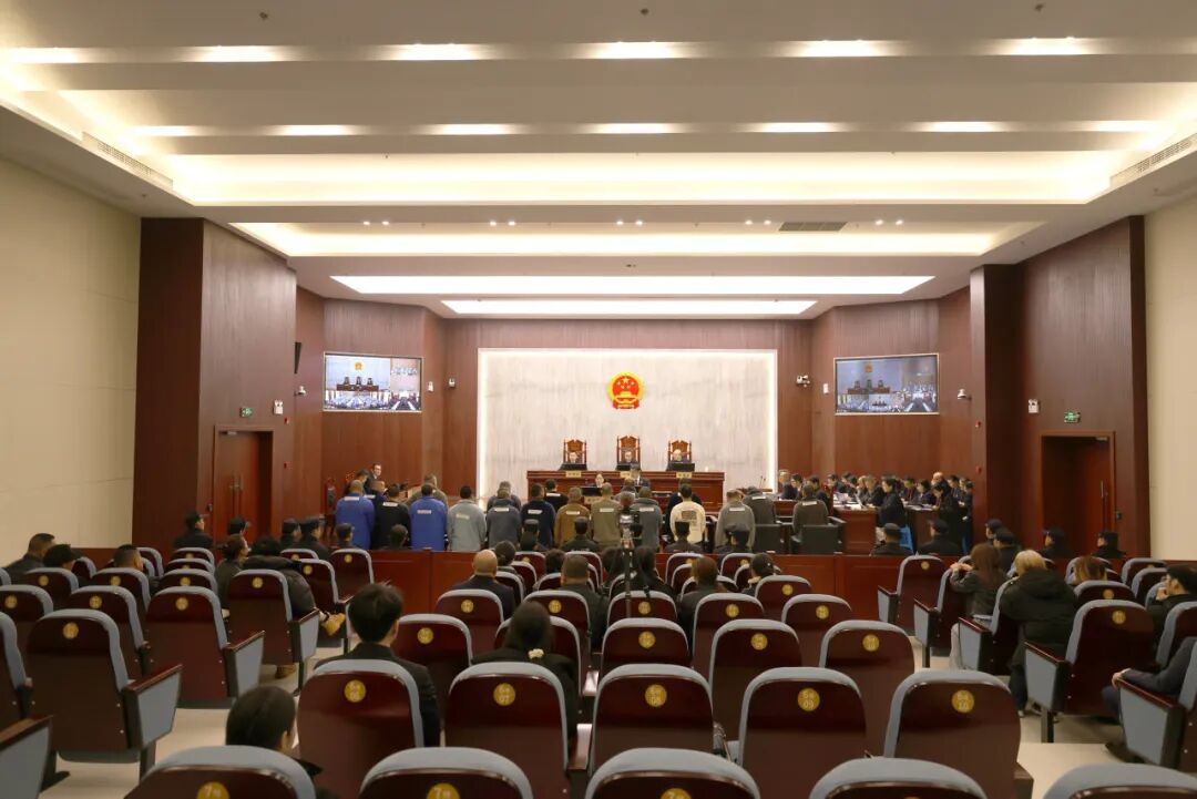 守护海洋生物多样性 | 最高判刑12年6个月！19人团伙非法采捕红珊瑚，涉案价值超2500万元