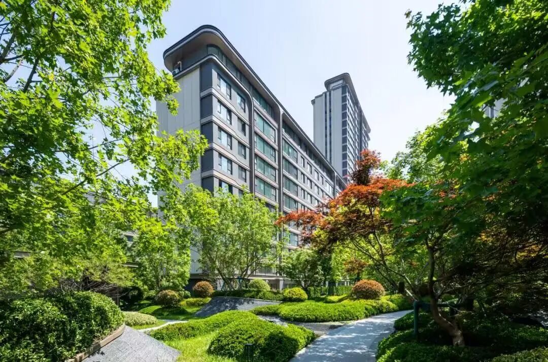 潍坊楼市暖意渐浓,改善型住房成交占比大幅提升_澎湃号·媒体_澎湃新闻-The Paper