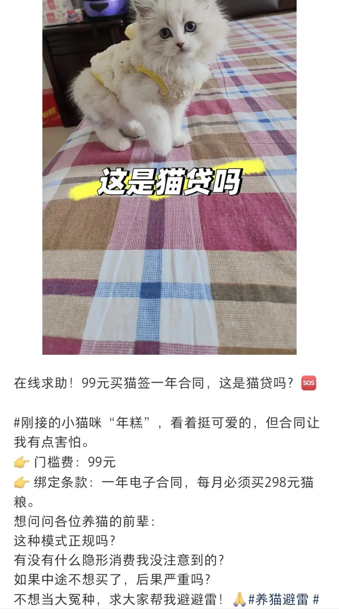 “0元领养猫咪”？记者调查：大批养猫爱好者遇捆绑消费，误入“宠物贷”圈套，或被迫分期高价订购宠物粮，或领养带病幼猫