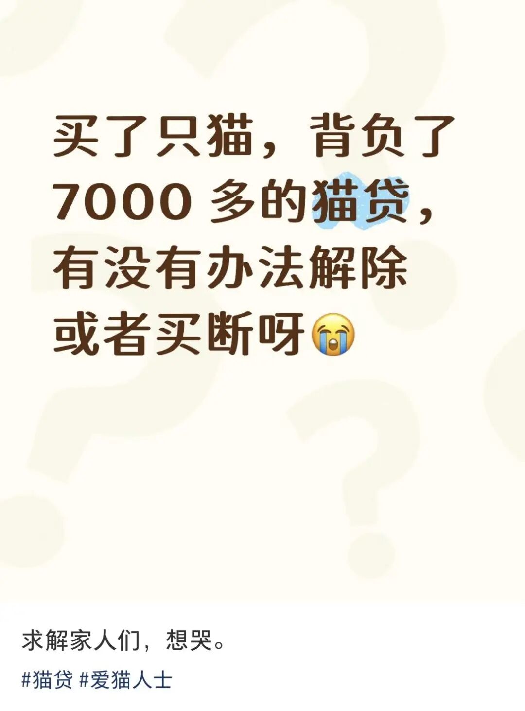“0元领养猫咪”？记者调查：大批养猫爱好者遇捆绑消费，误入“宠物贷”圈套，或被迫分期高价订购宠物粮，或领养带病幼猫