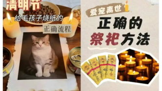 給寵物燒紙錢，讓我月入81萬