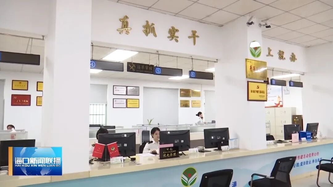 封关后，海口综保区这个“朋友圈”越来越大了