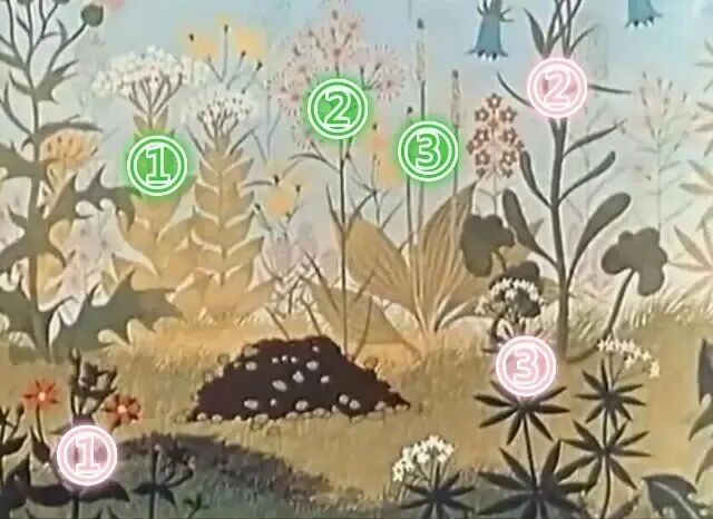 有哪些你从小信到大的生物学“常识”,全是错的?!