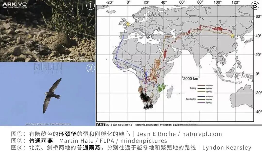有哪些你从小信到大的生物学“常识”,全是错的?!