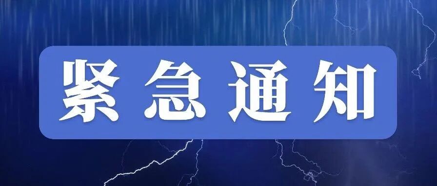 红军渡口 桥见信仰！武大联手15省区市大学生重走23个红军长征渡口