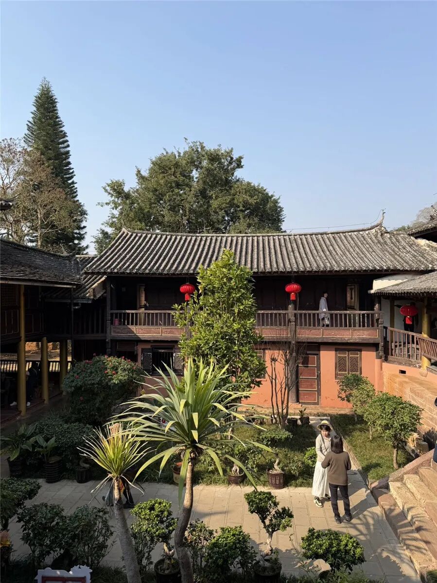 大名鼎鼎的“中国牛油果之乡”，竟然就在云南的这座边境小城