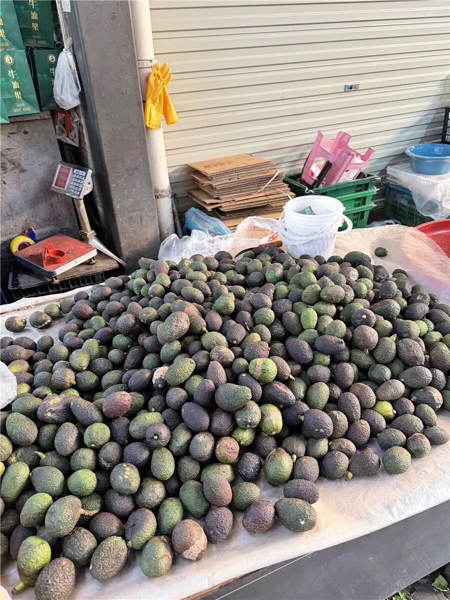 大名鼎鼎的“中国牛油果之乡”，竟然就在云南的这座边境小城