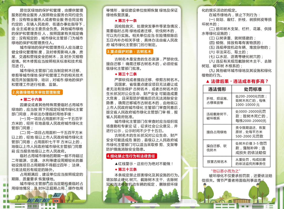 绿美蓬江·小知识 | 科学修剪树木 守护城市绿意_澎湃号·政务_澎湃新闻-The Paper