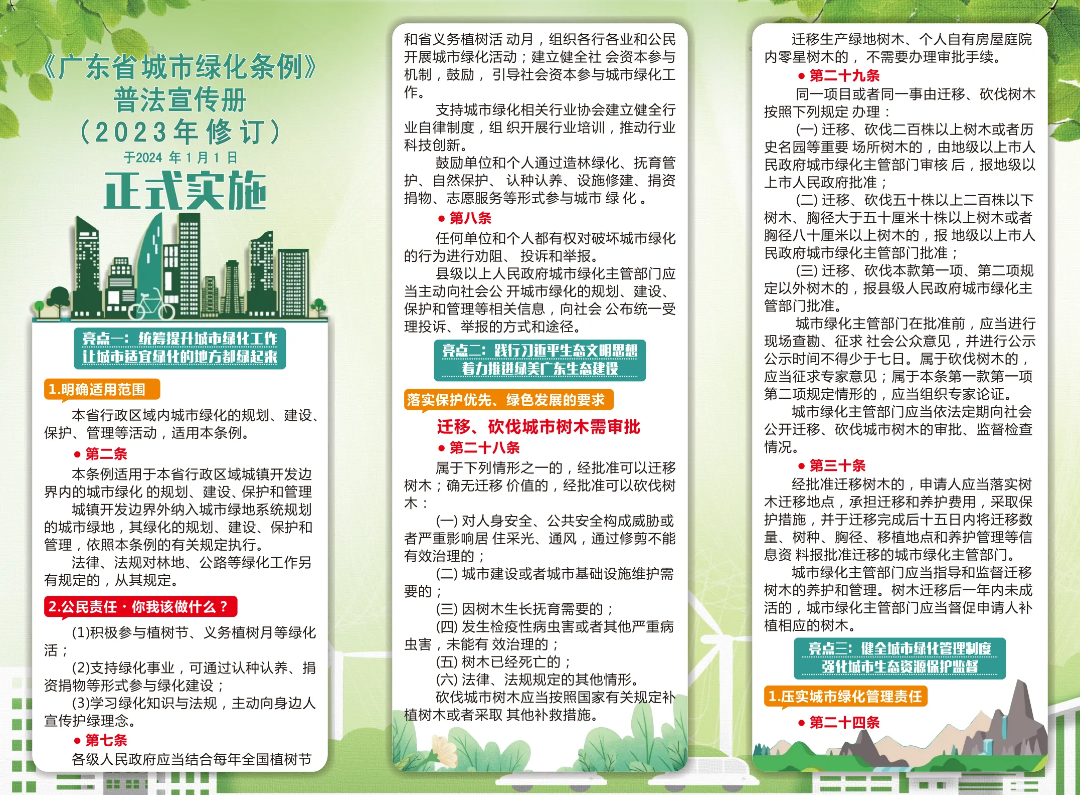 绿美蓬江·小知识 | 科学修剪树木 守护城市绿意_澎湃号·政务_澎湃新闻-The Paper
