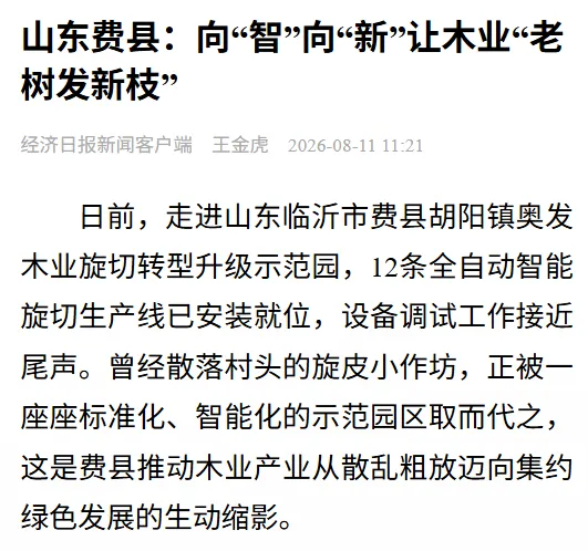 费县：向“智”向“新”让木业“老树发新枝”