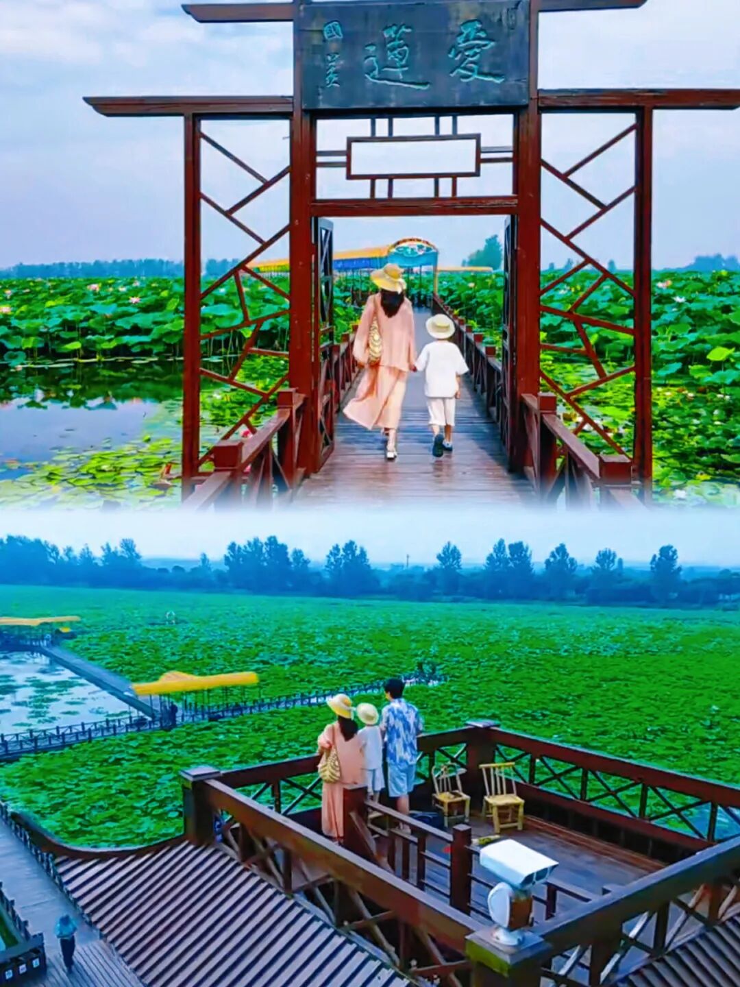 趁免费,快带娃来兴化~兴化的夏天,才是童年该有的样子