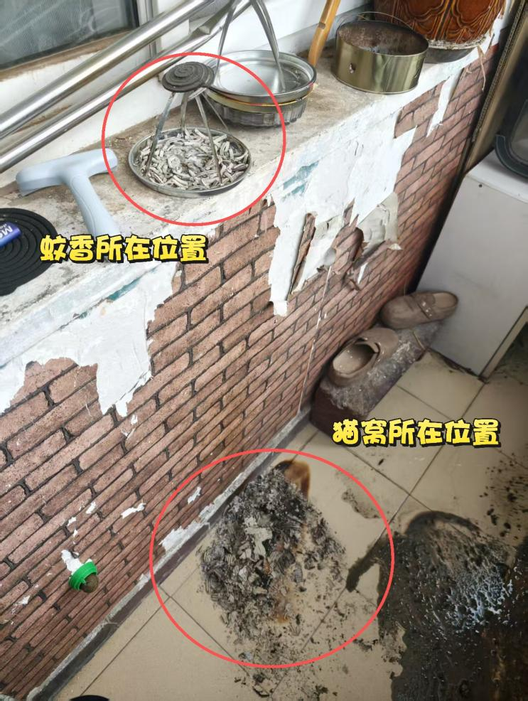 屋里飘出焦糊味,源头竟在窗台上……_澎湃号·政务_澎湃新闻-The Paper