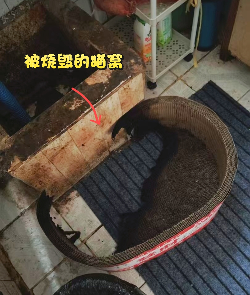 屋里飘出焦糊味,源头竟在窗台上……_澎湃号·政务_澎湃新闻-The Paper
