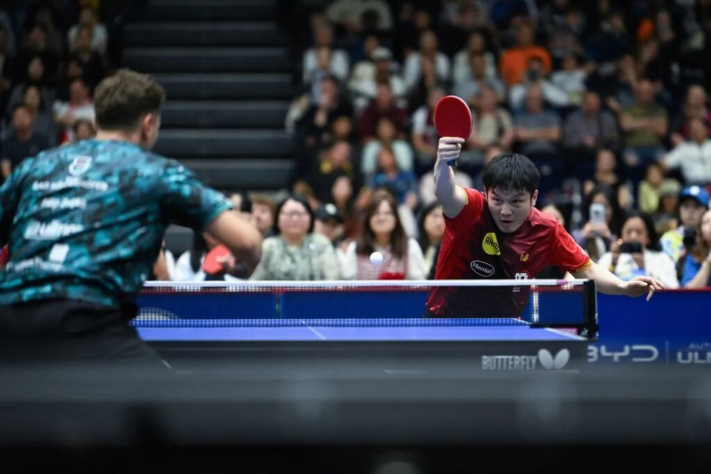 樊振东杜塞尔多夫俱乐部加盟_杜塞尔多夫总经理:樊振东是超级巨星_中国乒乓球运动员德国联赛
