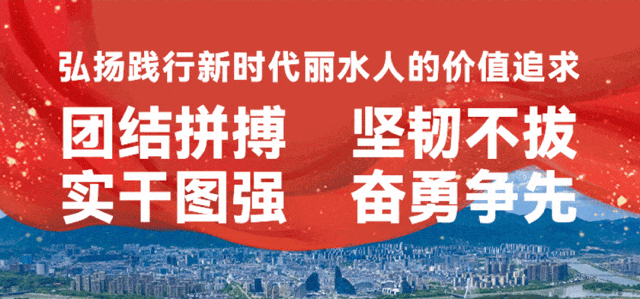 市政府最新干部任免