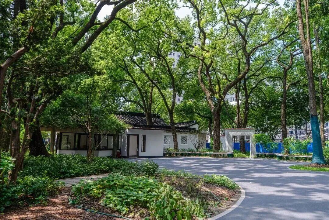 上海免费公园又上新啦！这份打卡清单请收好→