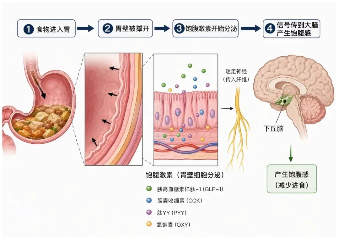 吃饭时1个小习惯,竟然能防4种病?一日三餐这样做,身体会感谢你