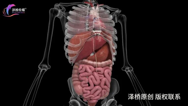 脚踝一到晚上就肿，是肾不好吗？真正原因可能有这4个
